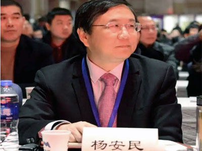風(fēng)生水起！楊安民董事長(zhǎng)談上海山美股份有限公司經(jīng)營(yíng)之道 //高端訪談